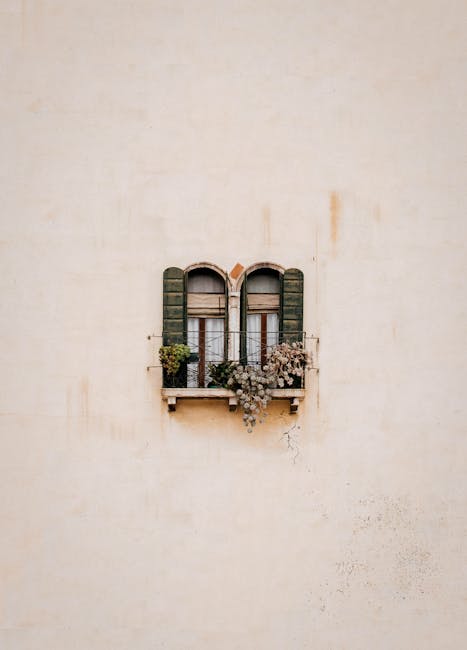 A corner of a home with indoor plants in clay pots next to a window