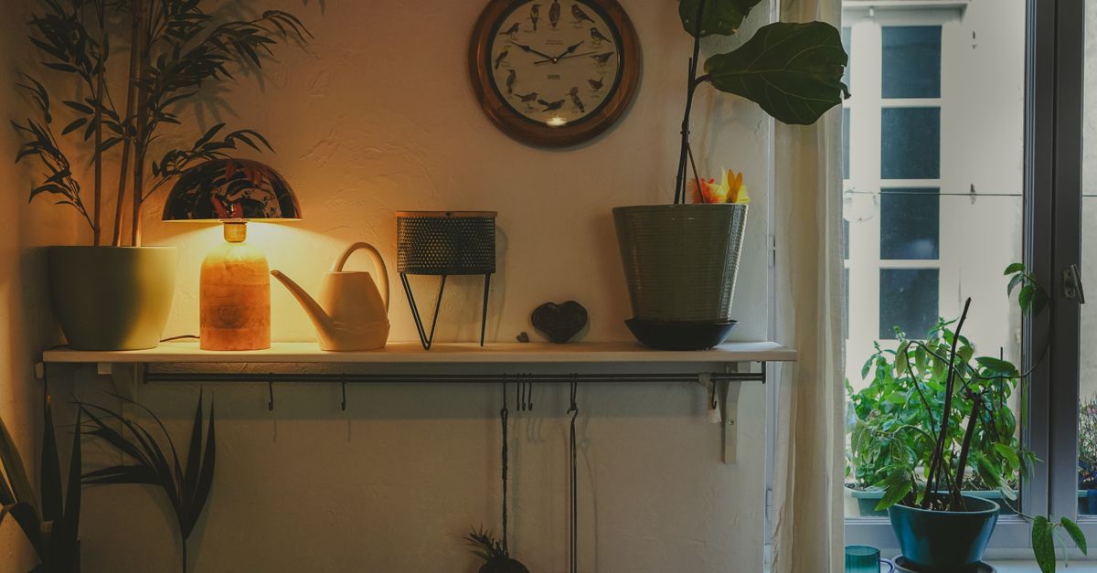 Rincón de una casa con plantas de interior en macetas de barro junto a una ventana